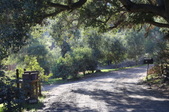Enlarge photo 37