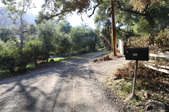 Enlarge photo 41