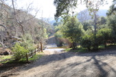Enlarge photo 42