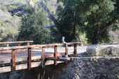 Enlarge photo 49