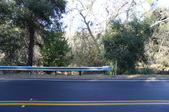 Enlarge photo 56