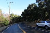 Enlarge photo 57