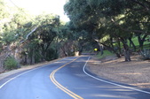 Enlarge photo 58
