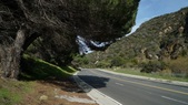 Enlarge photo 41