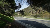 Enlarge photo 43