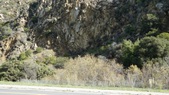 Enlarge photo 51