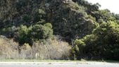 Enlarge photo 52