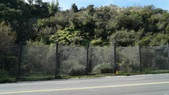 Enlarge photo 57