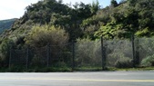 Enlarge photo 58