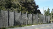 Enlarge photo 61