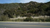 Enlarge photo 68