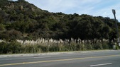 Enlarge photo 67