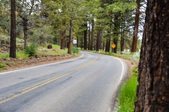 Enlarge photo 25