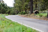 Enlarge photo 26