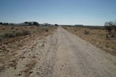 Enlarge photo 139