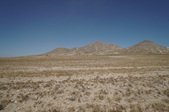 Enlarge photo 204