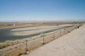 Enlarge photo 263