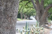 700 Prospect Blvd