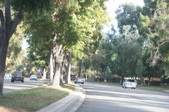 McBean Pkwy @ Alegro to De Monte