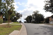 Enlarge photo 38