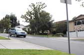 Enlarge photo 43