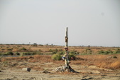 Enlarge photo 41
