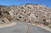 Enlarge photo 28