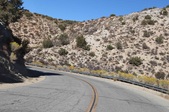 Enlarge photo 29