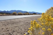 Enlarge photo 35