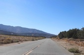 Enlarge photo 41
