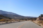 Enlarge photo 44