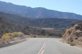 Enlarge photo 48