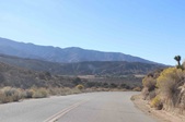 Enlarge photo 49