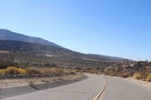 Enlarge photo 54
