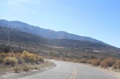 Enlarge photo 55