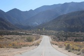 Enlarge photo 61