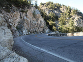 Angeles Forest