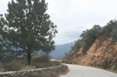 Enlarge photo 28