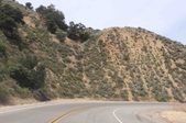 Enlarge photo 35