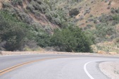 Enlarge photo 42