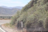 Enlarge photo 40