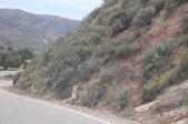 Enlarge photo 45