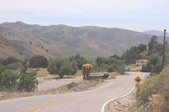 Enlarge photo 46