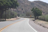 Enlarge photo 51