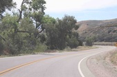 Enlarge photo 53