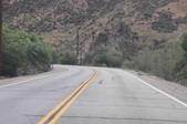 Enlarge photo 60
