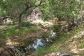 Enlarge photo 1