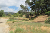 Aliso Canyon Park - Files - Not Clear