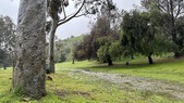 Elysian Park - 2nd Hold