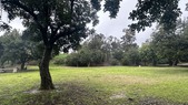Spot 2